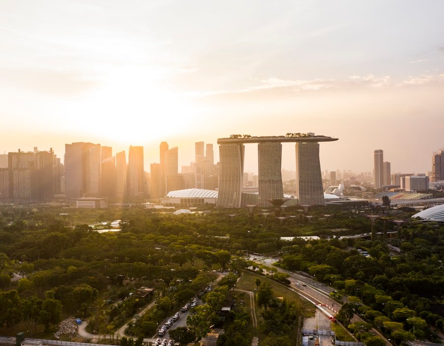 Proses Pengemasan dan Distribusi Telur yang Higienis